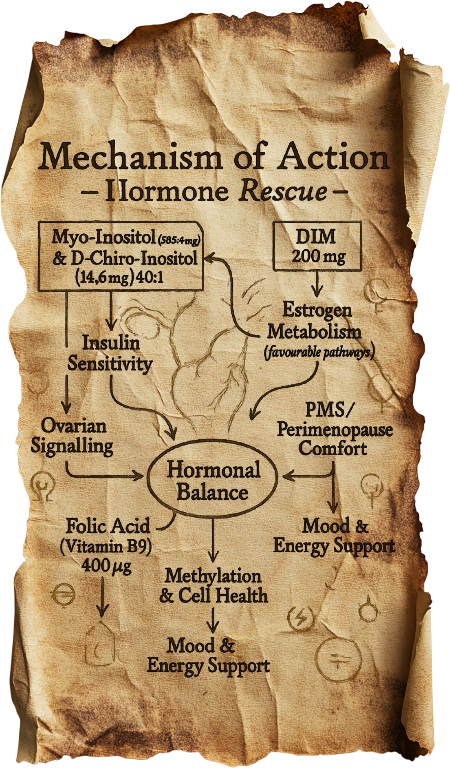 Mechanism of Action