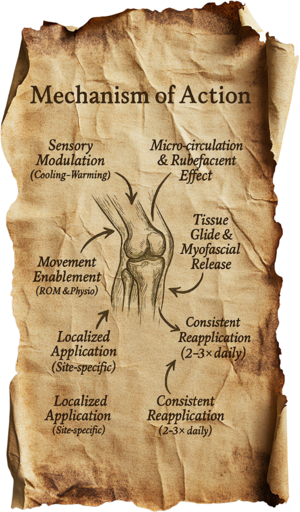 Mechanism of Action